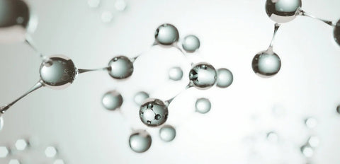 Die Biologie des Alterns  - LIFETIME Longevity & Health