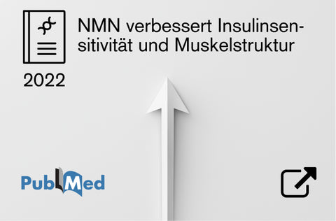 wissenschaftliche Studie nmn muskelstruktur