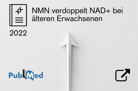 Zur Studie