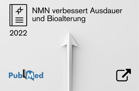 Zur Studie