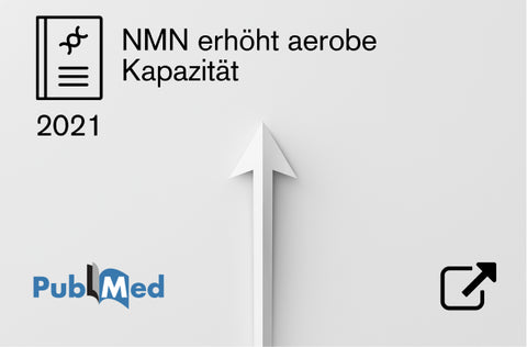 Zur Studie
