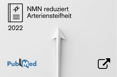 Zur Studie