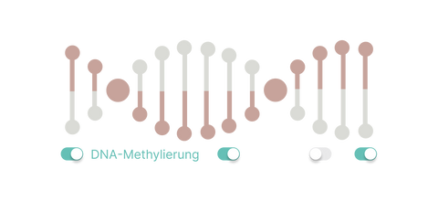 Methyldonator