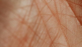 Entdecke genetische Besonderheiten