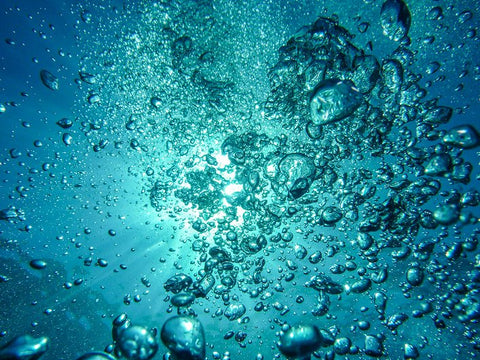 Hydration der Zellen