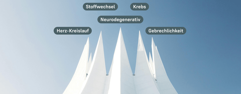 Woran wir sterben: und wie du es verhindern kannst - LIFETIME Longevity & Health