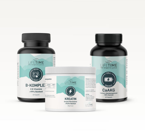 Brain Cell Bundle