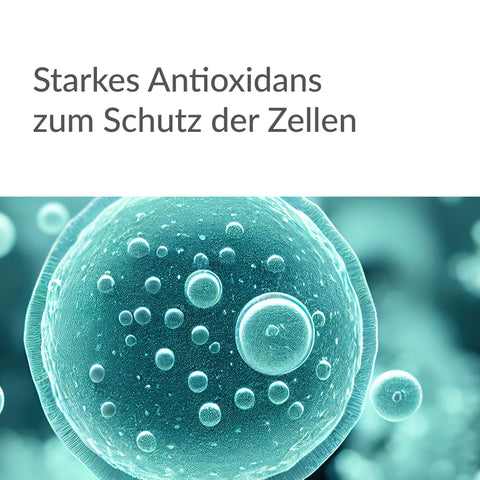 Astaxanthin Kapseln