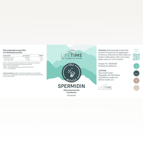 Spermidin Kapseln
