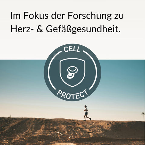 Trans-Resveratrol Kapseln