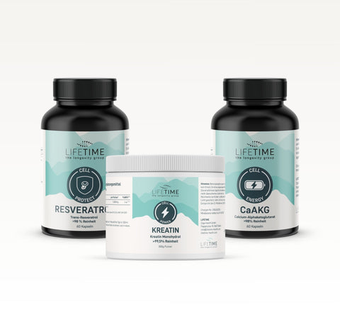 Sport & Regeneration Bundle